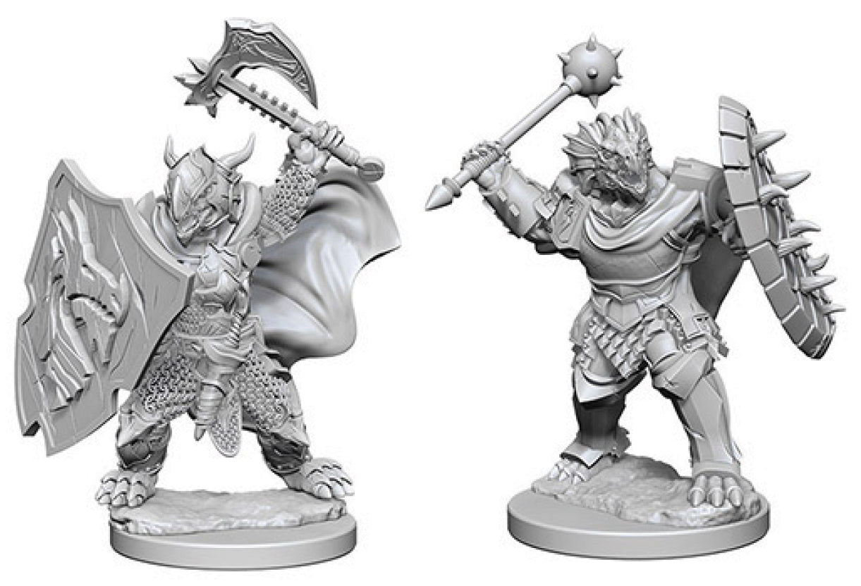 Dungeons & Dragons Nolzur`s Marvelous Unpainted Miniatures: W04 Dragonborn Male Paladin