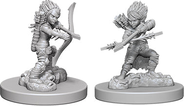 Pathfinder Deep Cuts Unpainted Miniatures: W06 Gnome Female Rogue