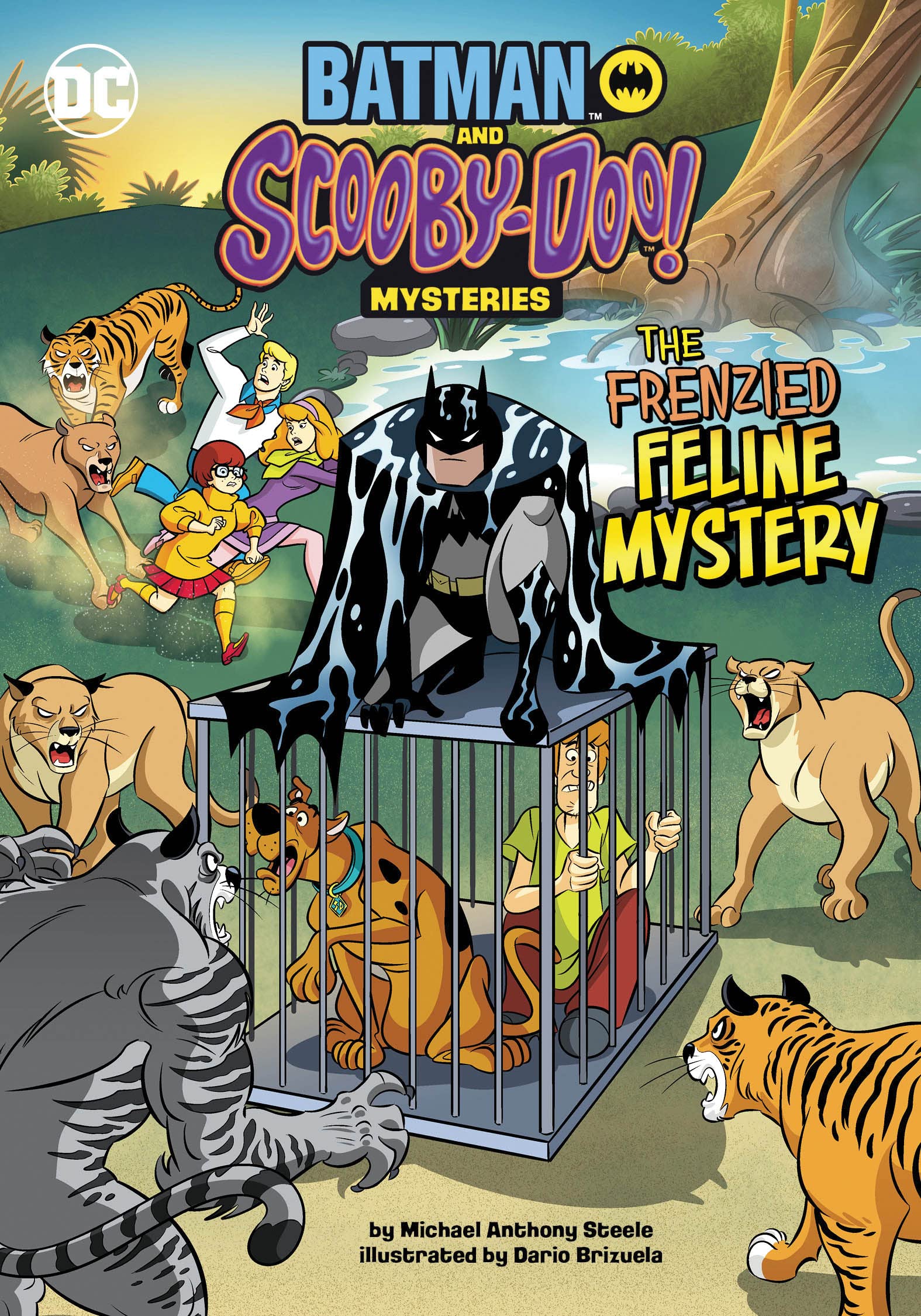 Batman and Scooby Doo Mysteries Frenzied Feline Mystery