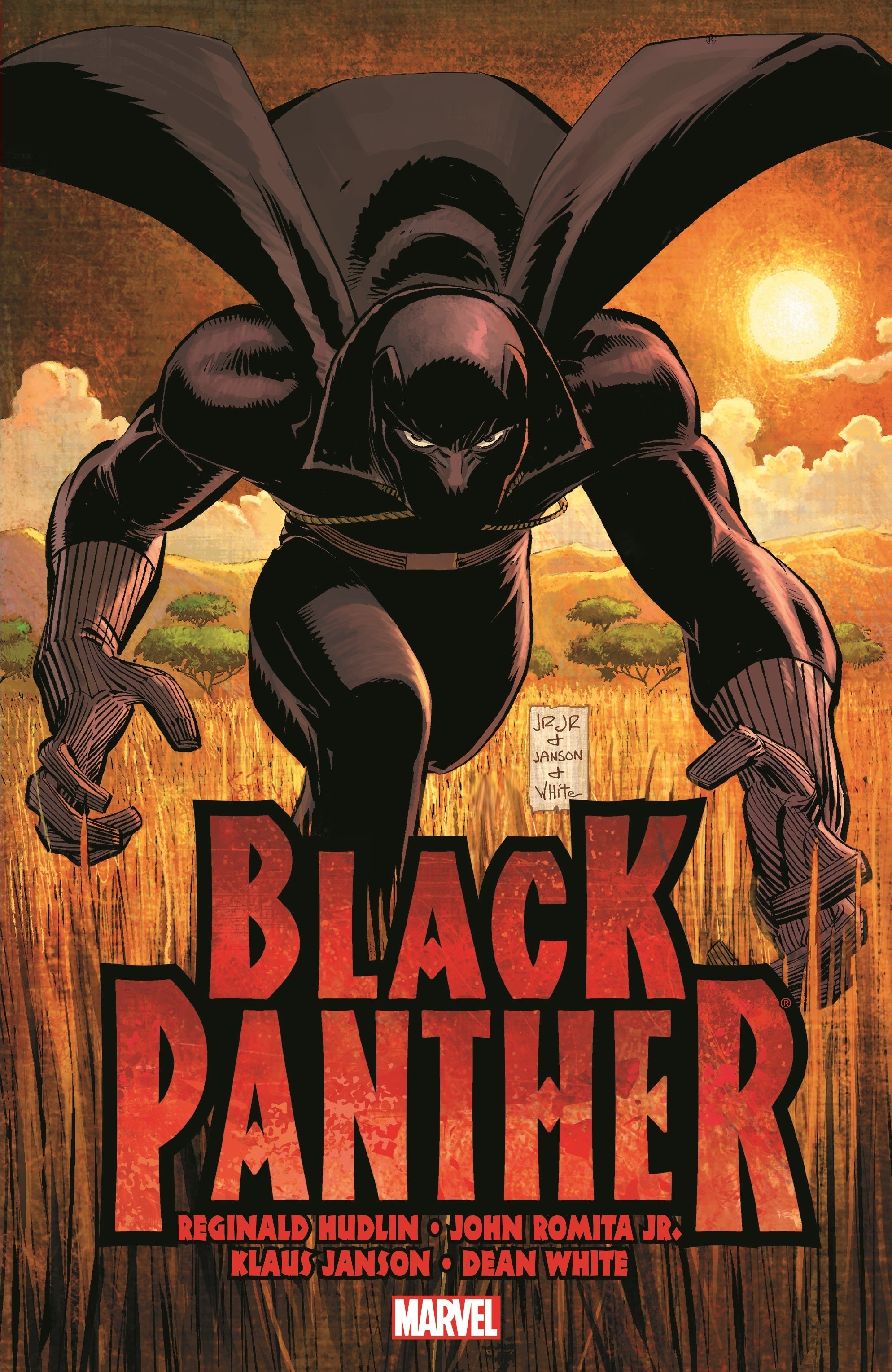 Black Panther: Who is the Black Panther?