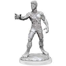 Dungeons & Dragons Nolzur`s Marvelous Unpainted Miniatures: W19 Headless Monster