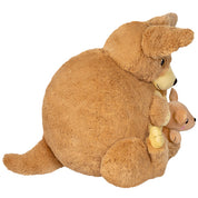 Cuddly Kangaroo