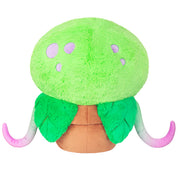 Venus Fly Trap