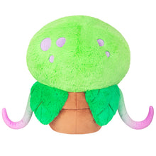 Load image into Gallery viewer, Venus Fly Trap
